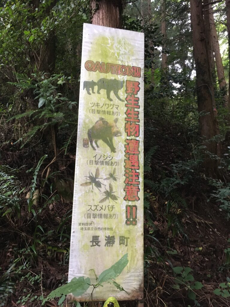 寶登山(宝登山)登山