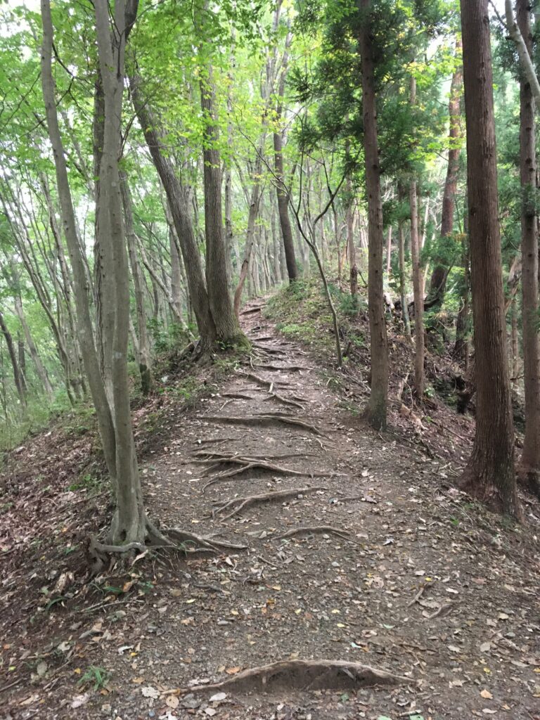 寶登山(宝登山)登山