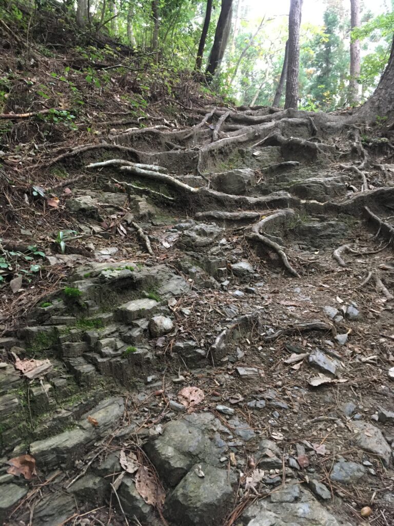 寶登山(宝登山)登山