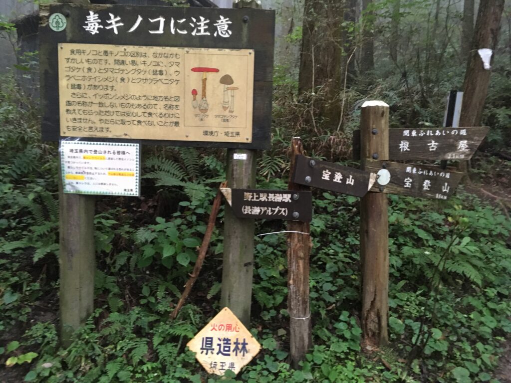 寶登山(宝登山)登山 毒キノコ注意