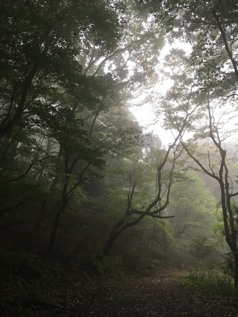 寶登山(宝登山)登山