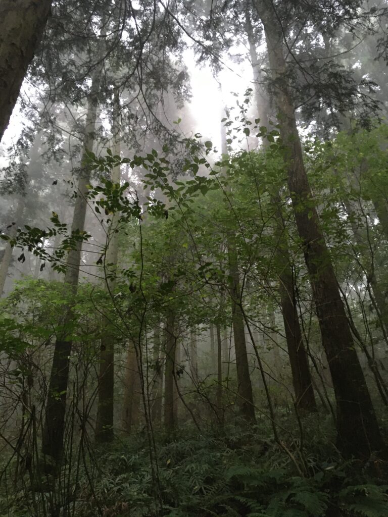 寶登山(宝登山)登山