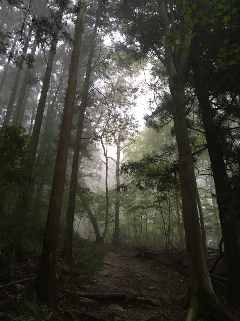 寶登山(宝登山)登山