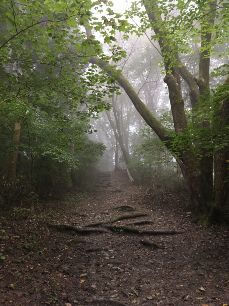 寶登山(宝登山)登山