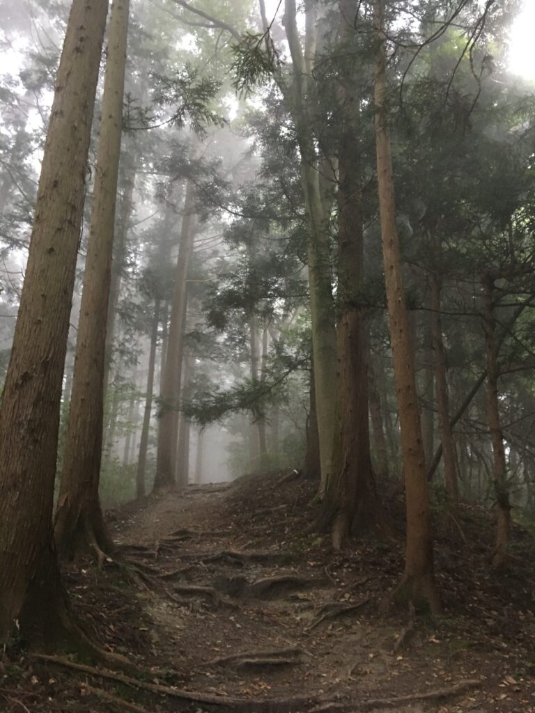 寶登山(宝登山)登山
