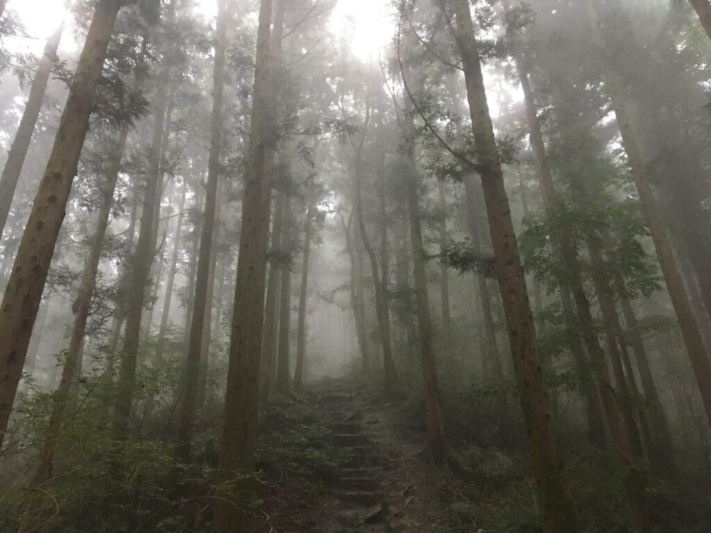 寶登山(宝登山)登山
