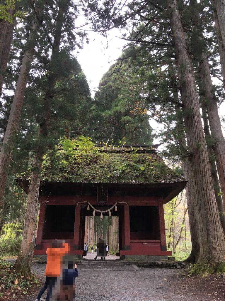 戸隠神社 九頭龍社へ