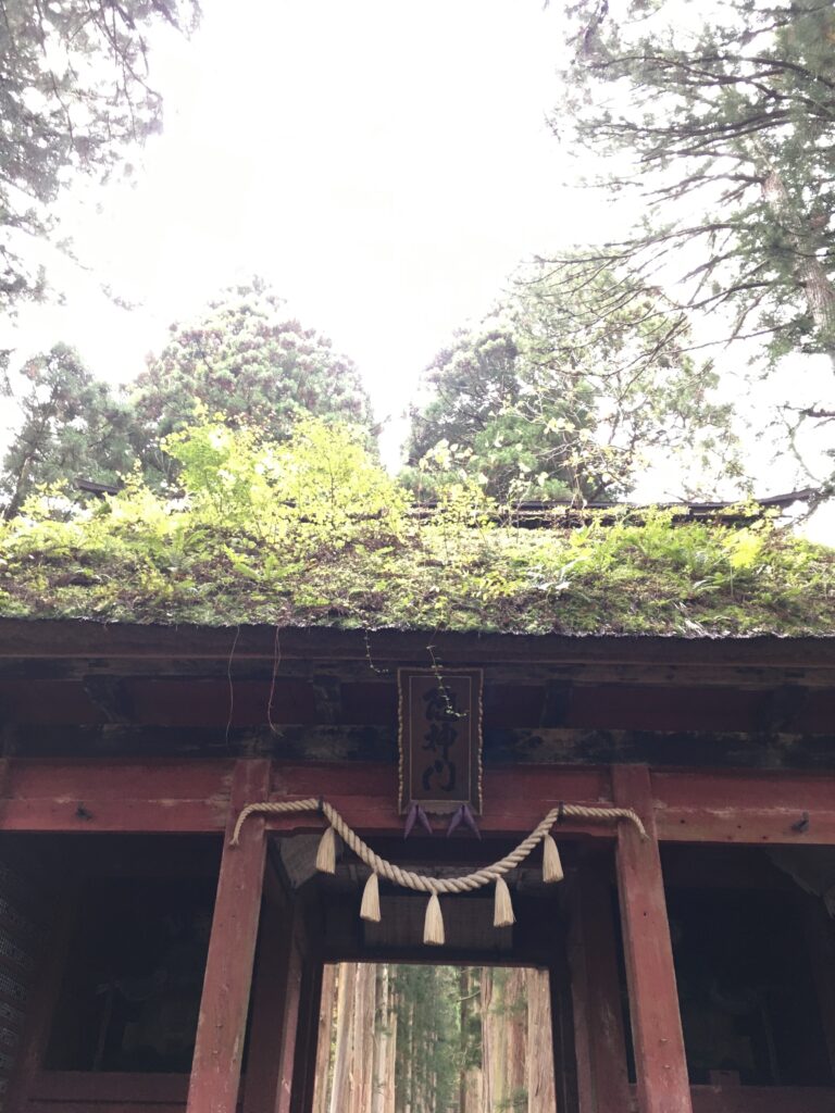 戸隠神社