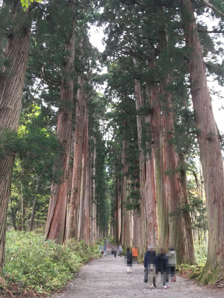 戸隠神社
