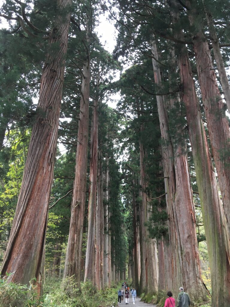 戸隠神社