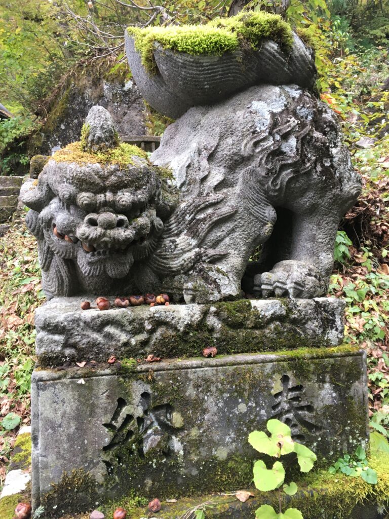 戸隠神社 九頭龍社へ