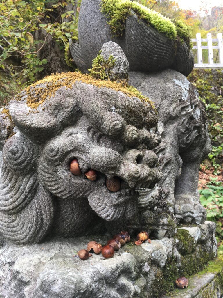 戸隠神社 九頭龍社へ