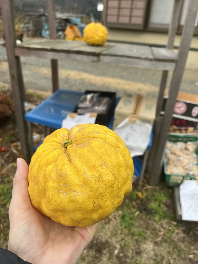 鬼ゆず
