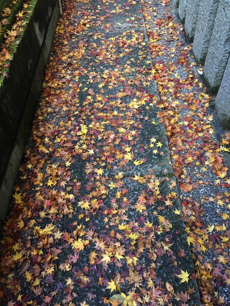 高尾山 紅葉