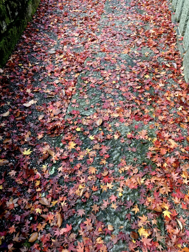 高尾山 紅葉