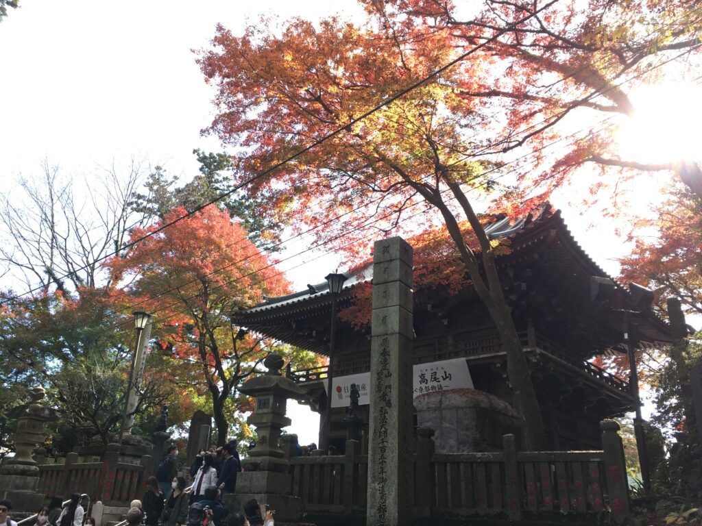 高尾山 紅葉