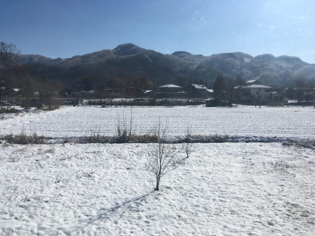 雪の宝登山へ