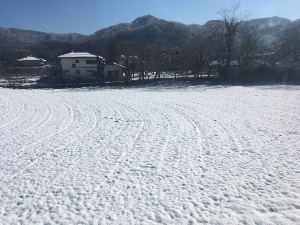 雪の宝登山へ