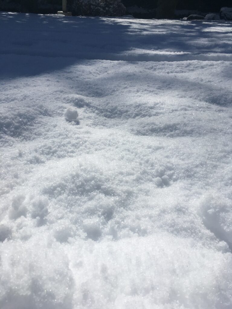 雪の宝登山