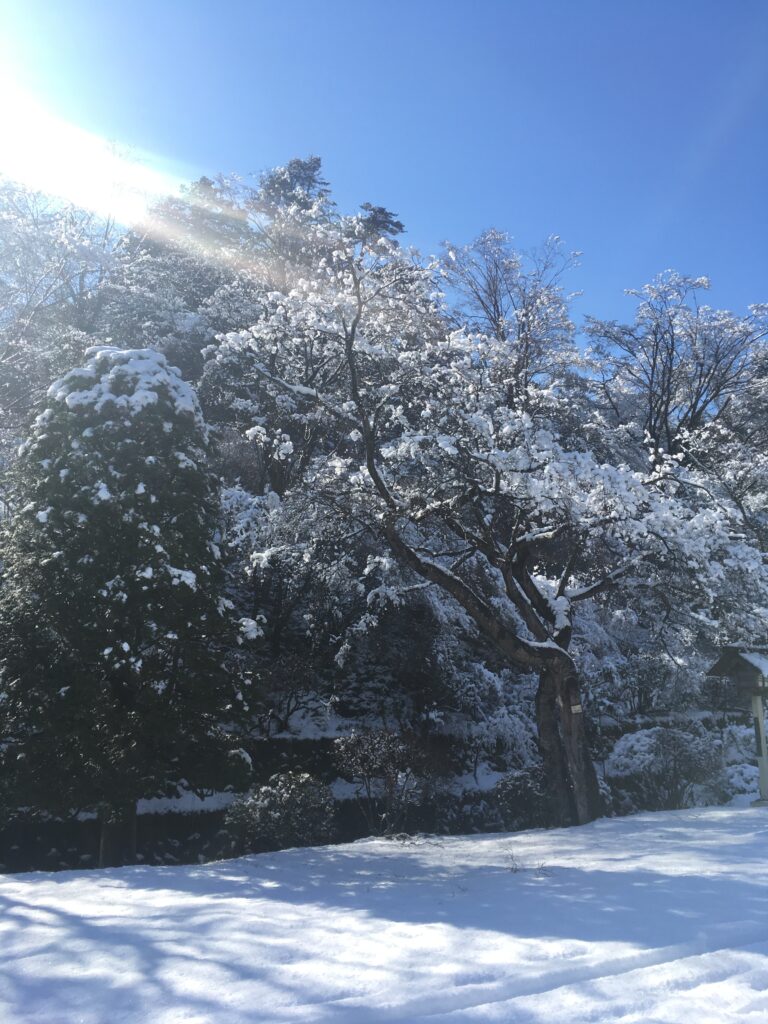 雪の宝登山