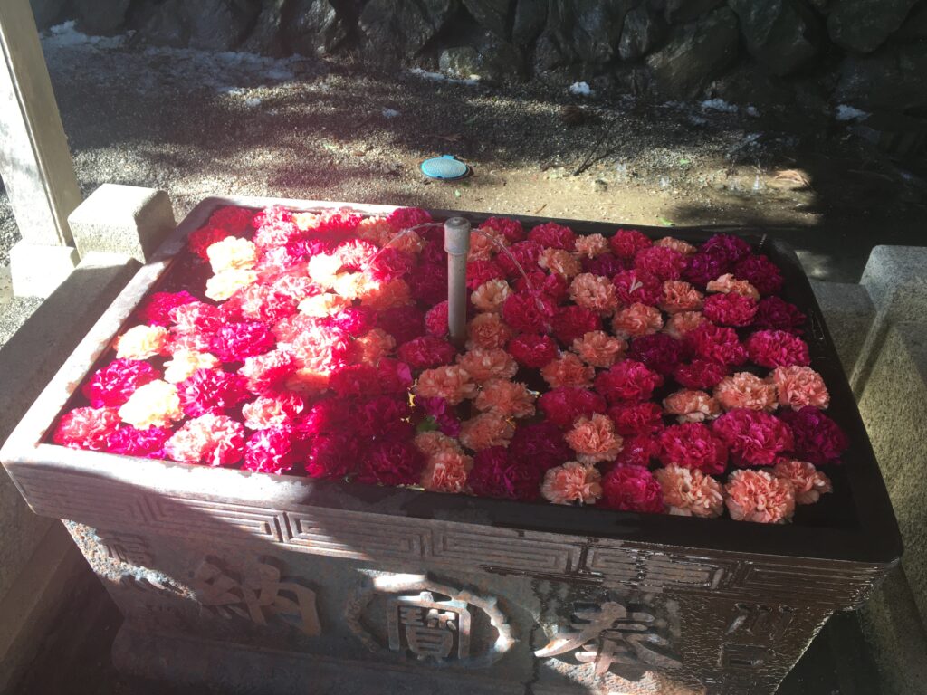 宝登山の花手水