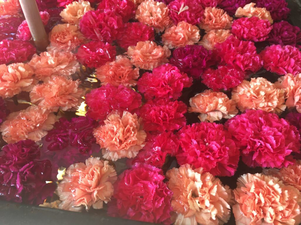 宝登山の花手水