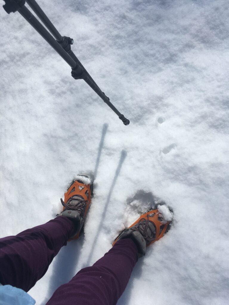 雪の宝登山登山