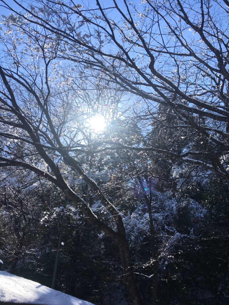 雪の宝登山登山