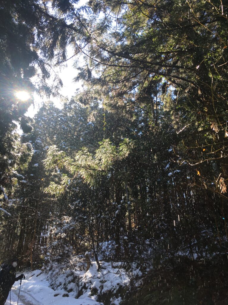 雪の宝登山登山