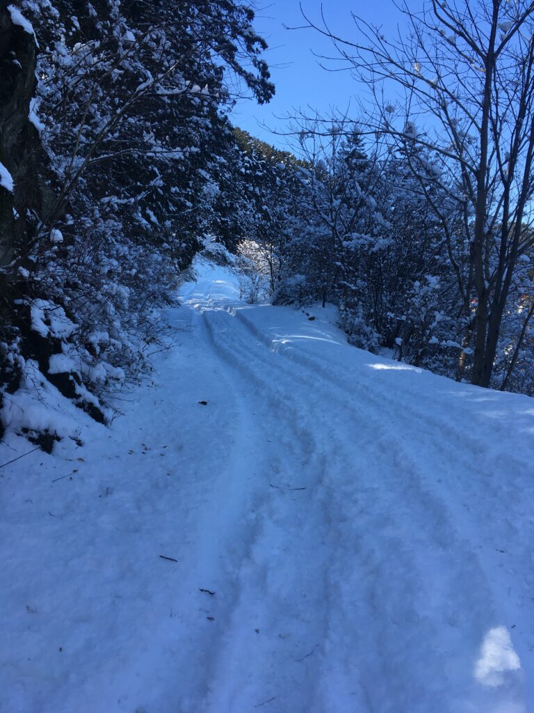 雪の宝登山登山
