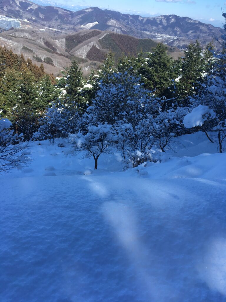 雪の宝登山登山