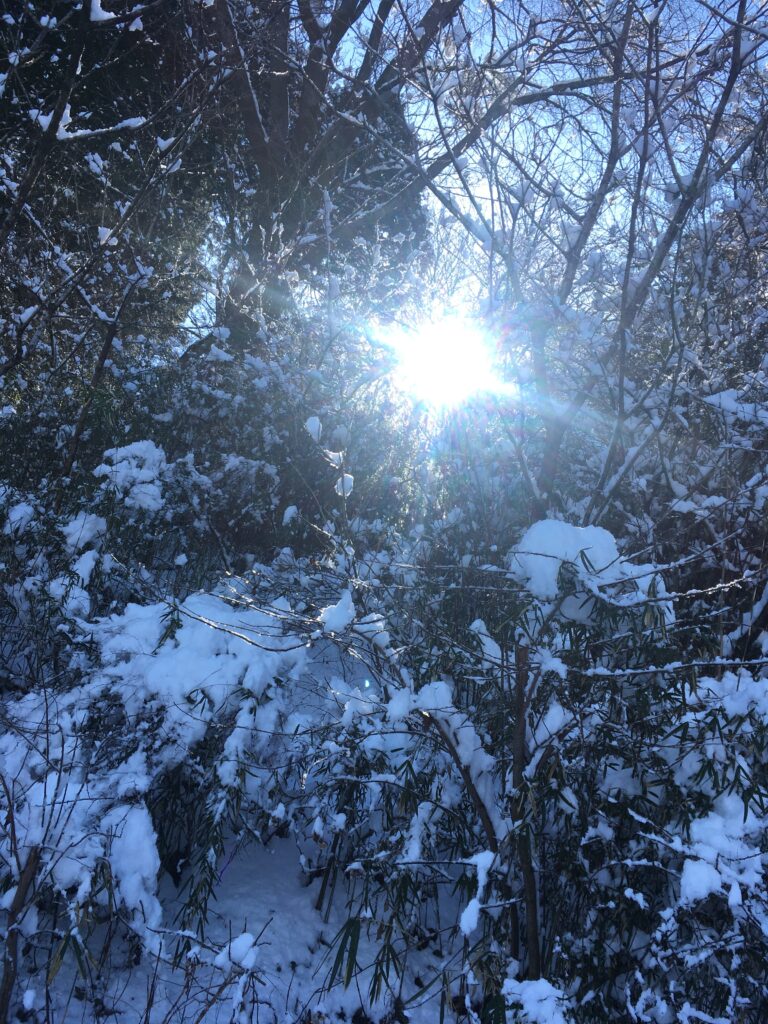 雪の宝登山登山