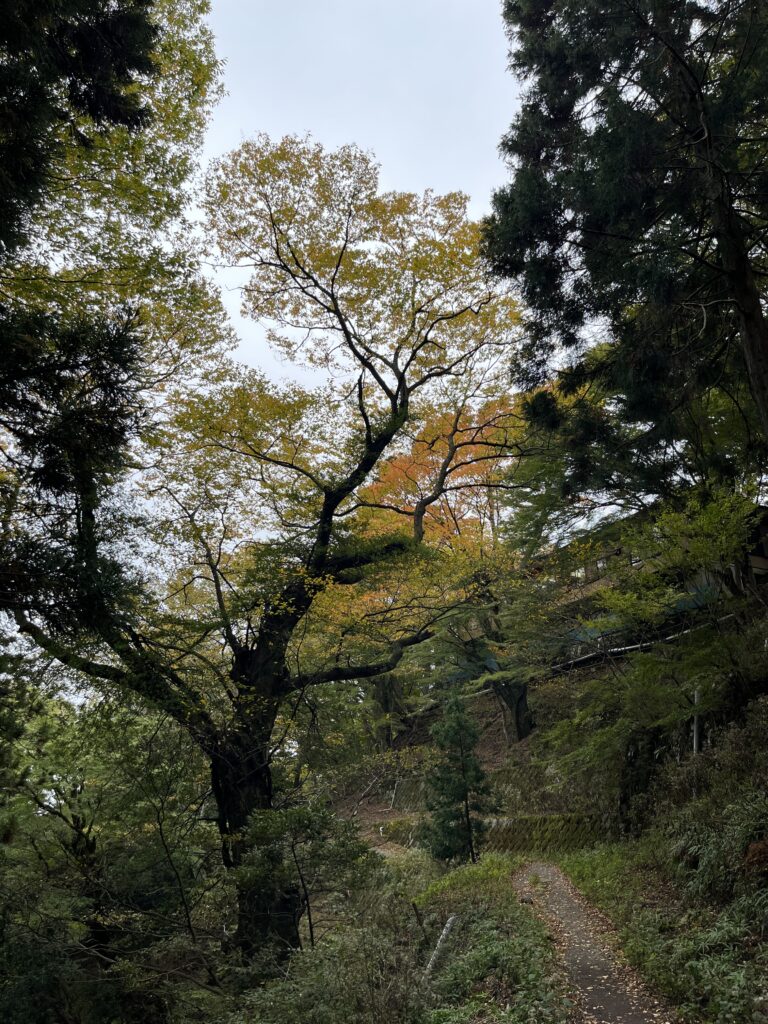 大山阿夫利神社