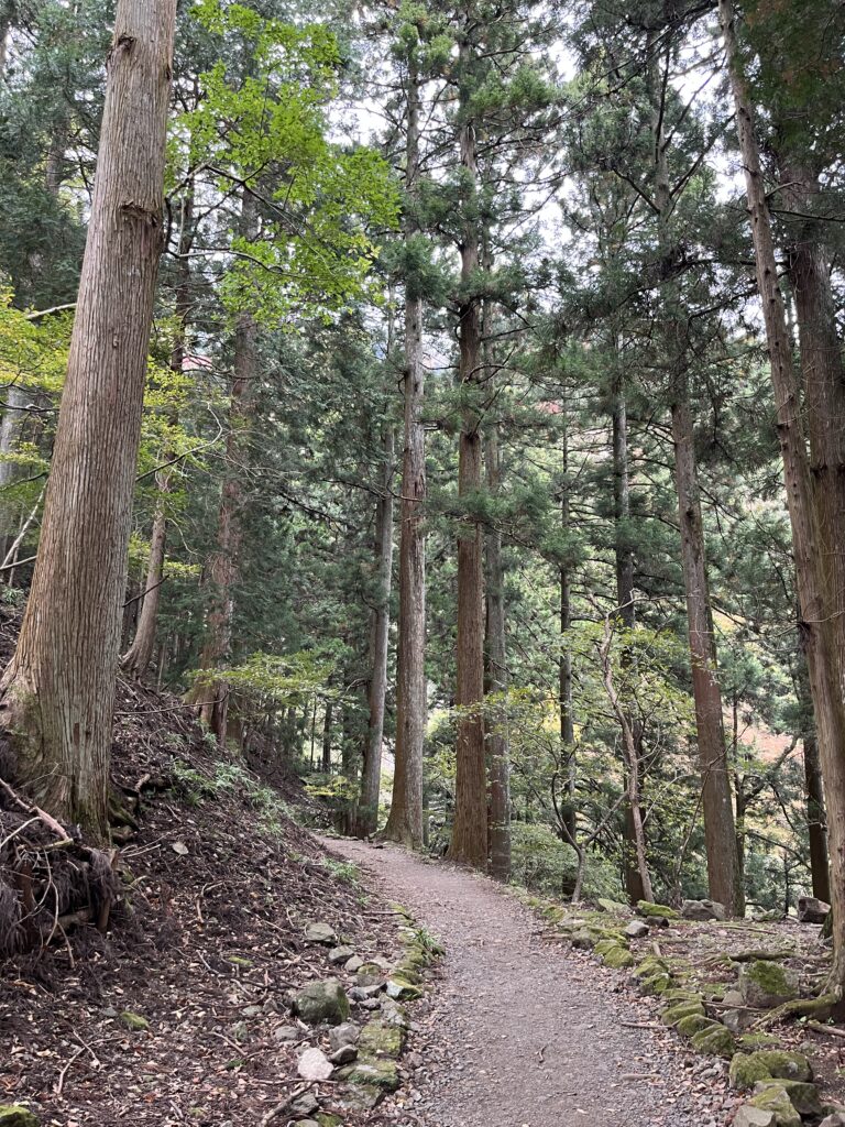 大山阿夫利神社 二重社へ
