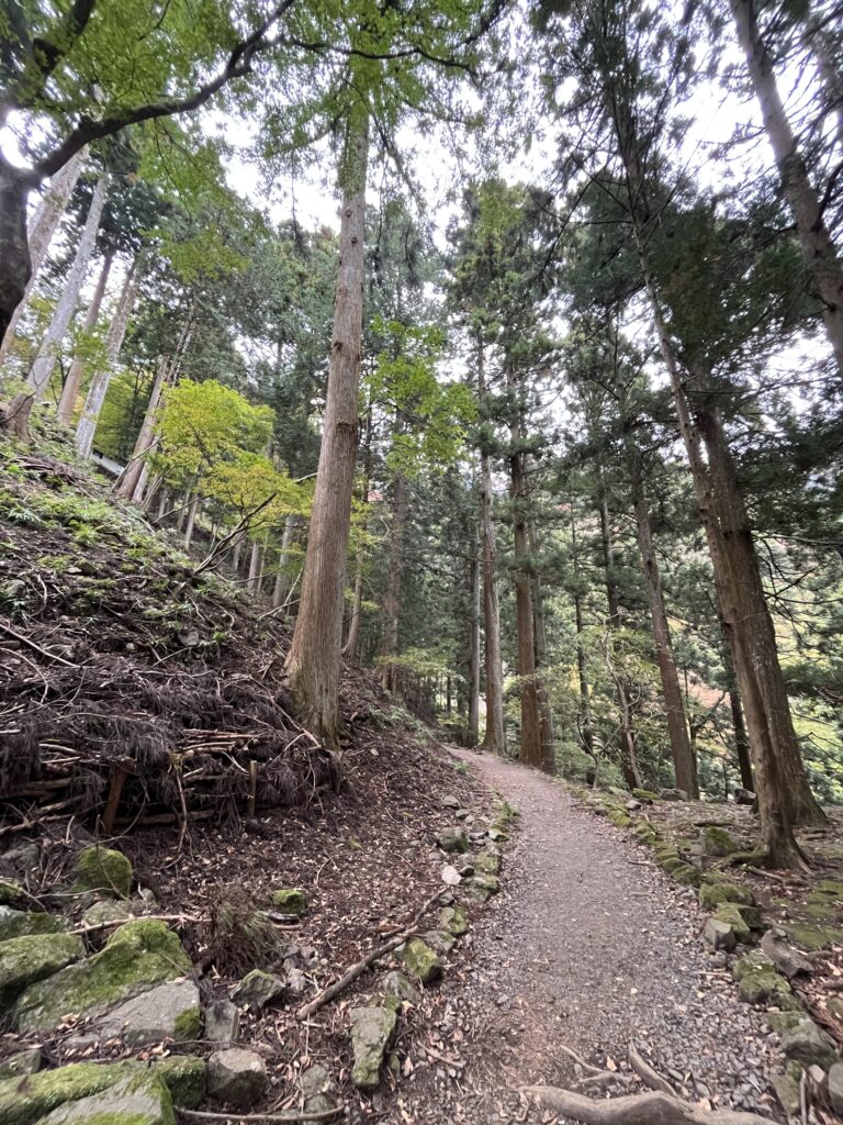 大山阿夫利神社 二重社