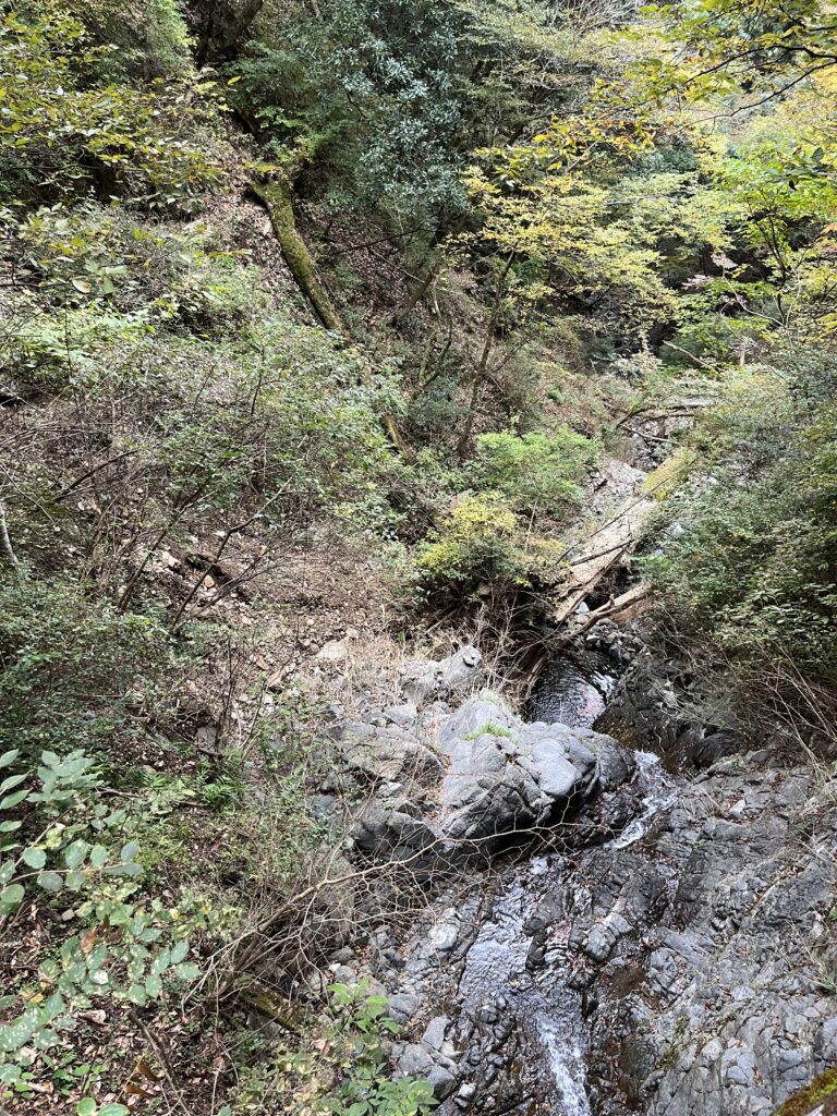 大山阿夫利神社 二重社