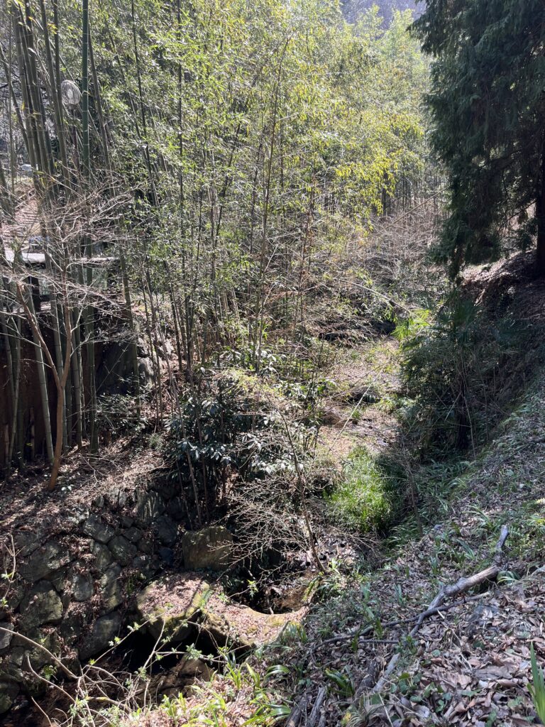 武蔵国二宮 金鑽神社