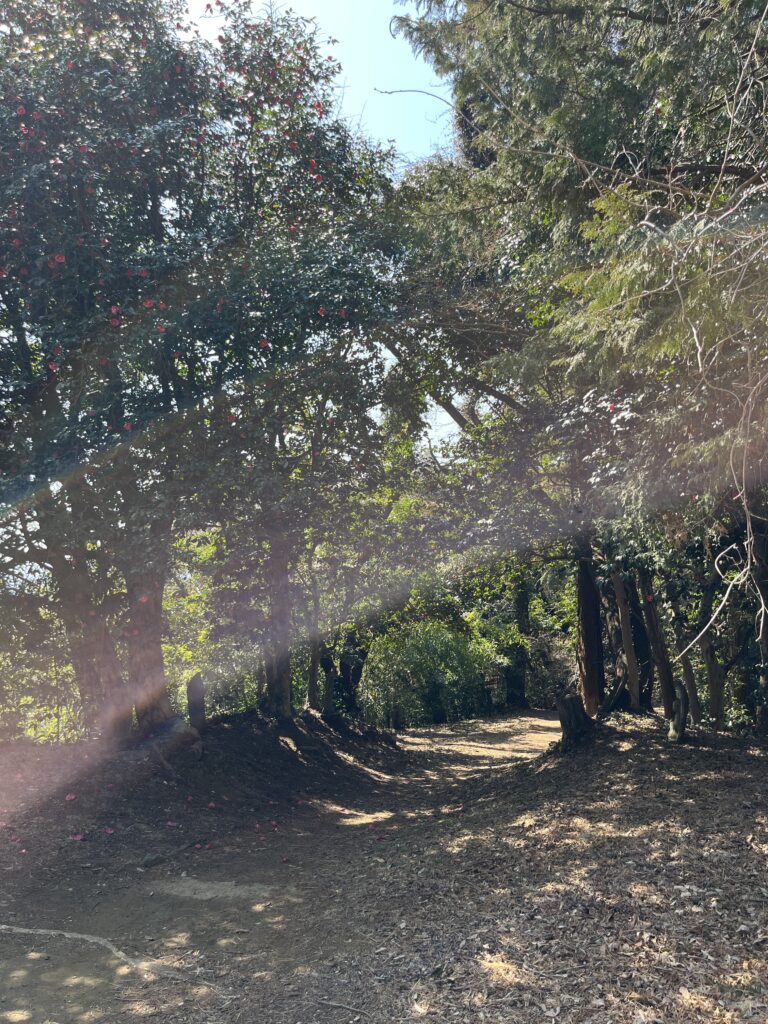 武蔵国二宮 金鑽神社