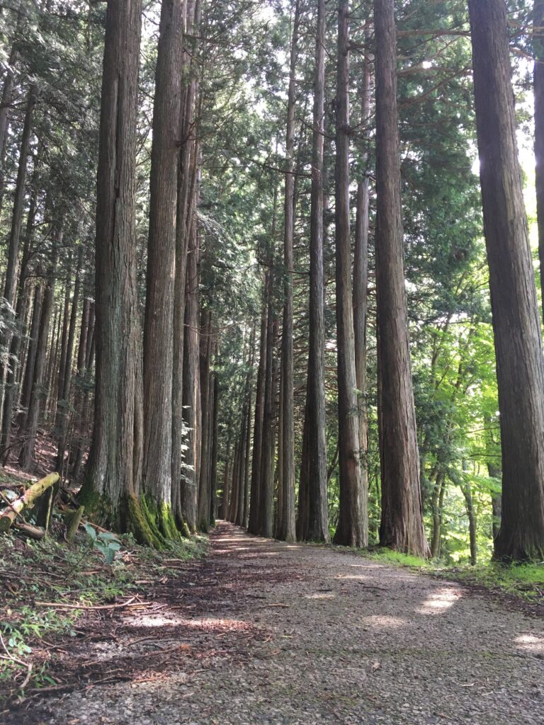 三峰山 三峯神社（奥宮）へ