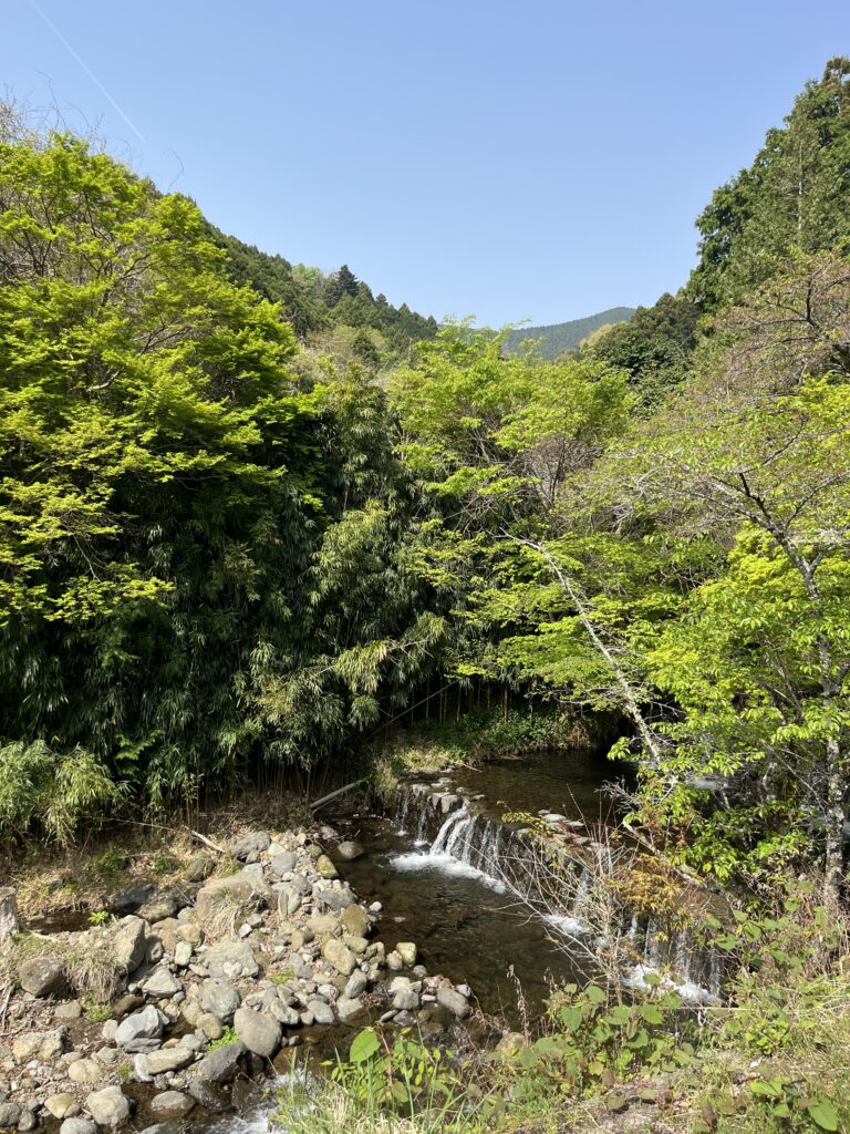 大山阿夫利神社