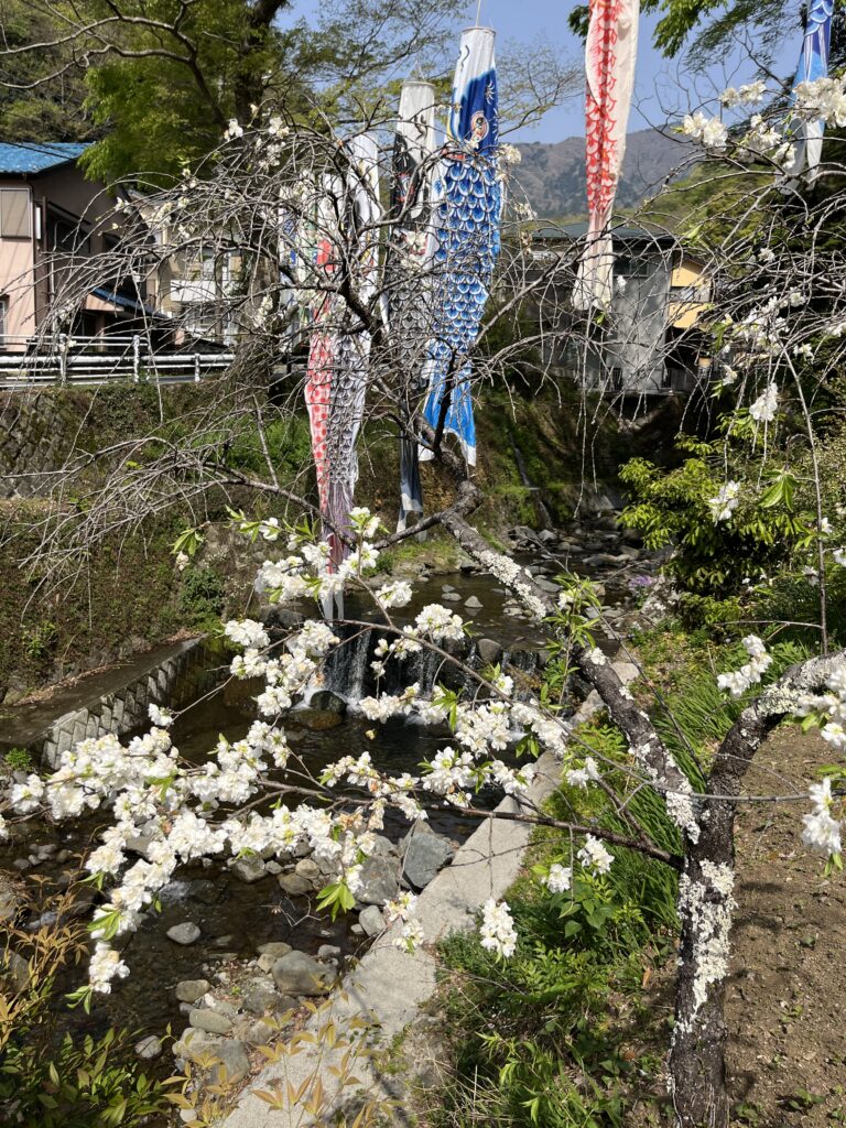 大山阿夫利神社