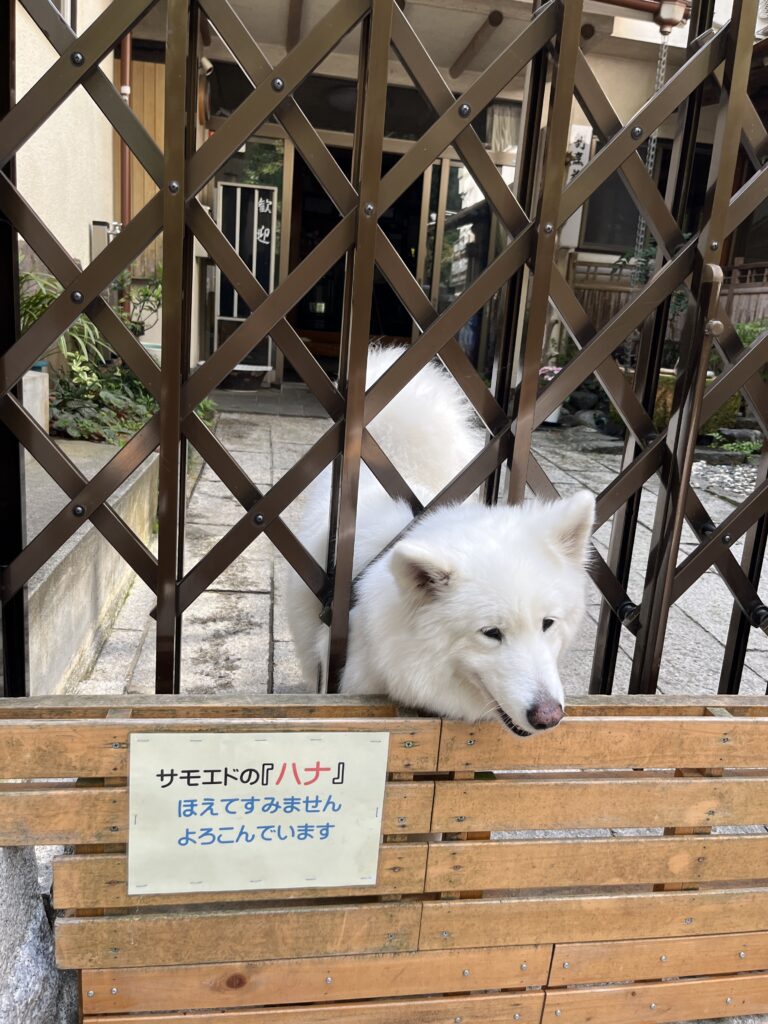 大山阿夫利神社こま参道付近