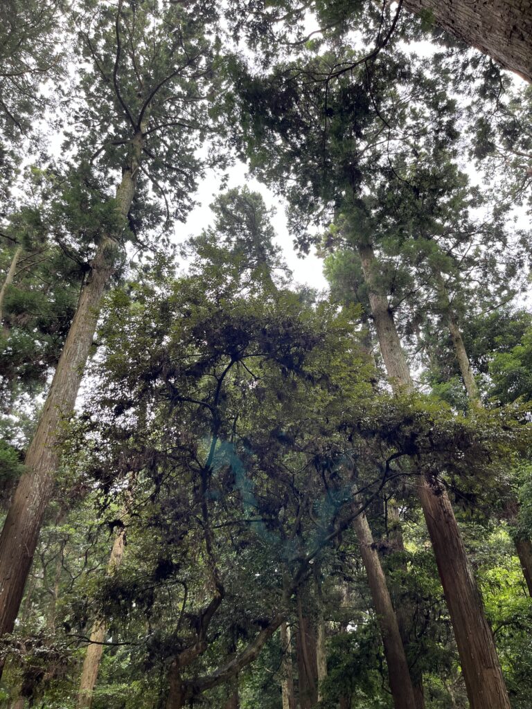 鹿島神宮