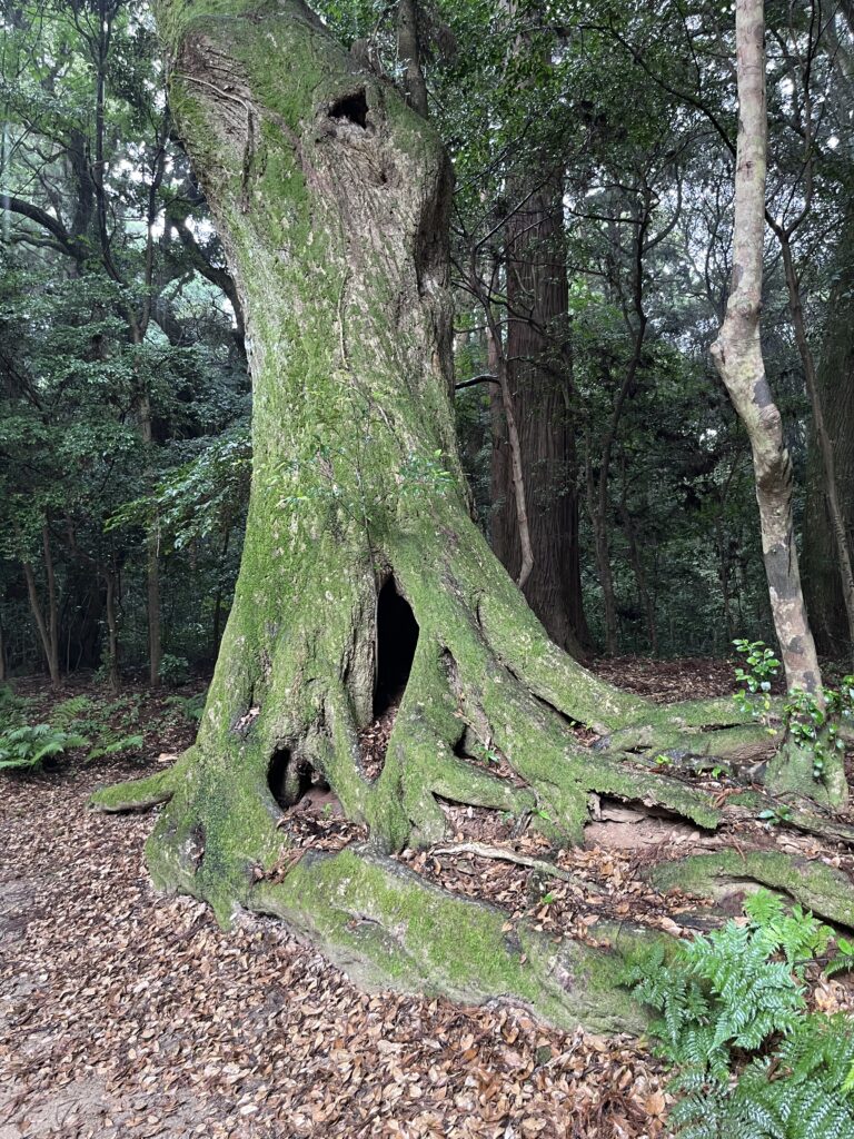 鹿島神宮