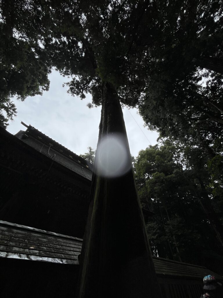 鹿島神宮