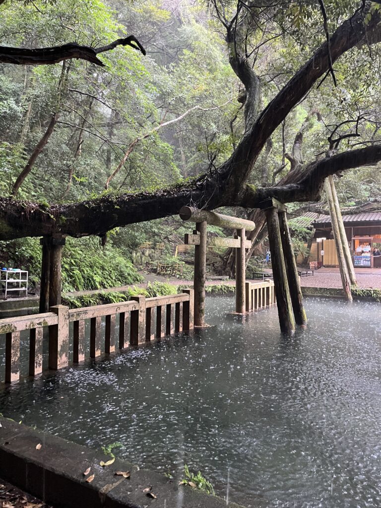 鹿島神宮（御手洗池）