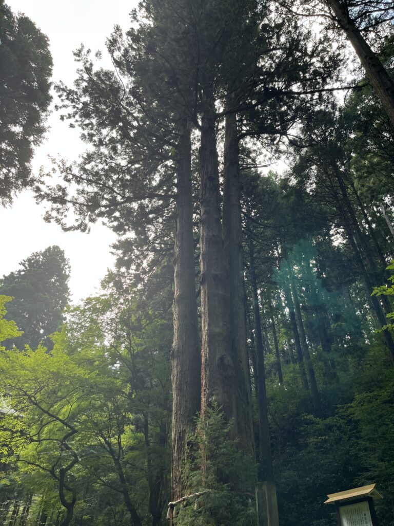 御岩神社