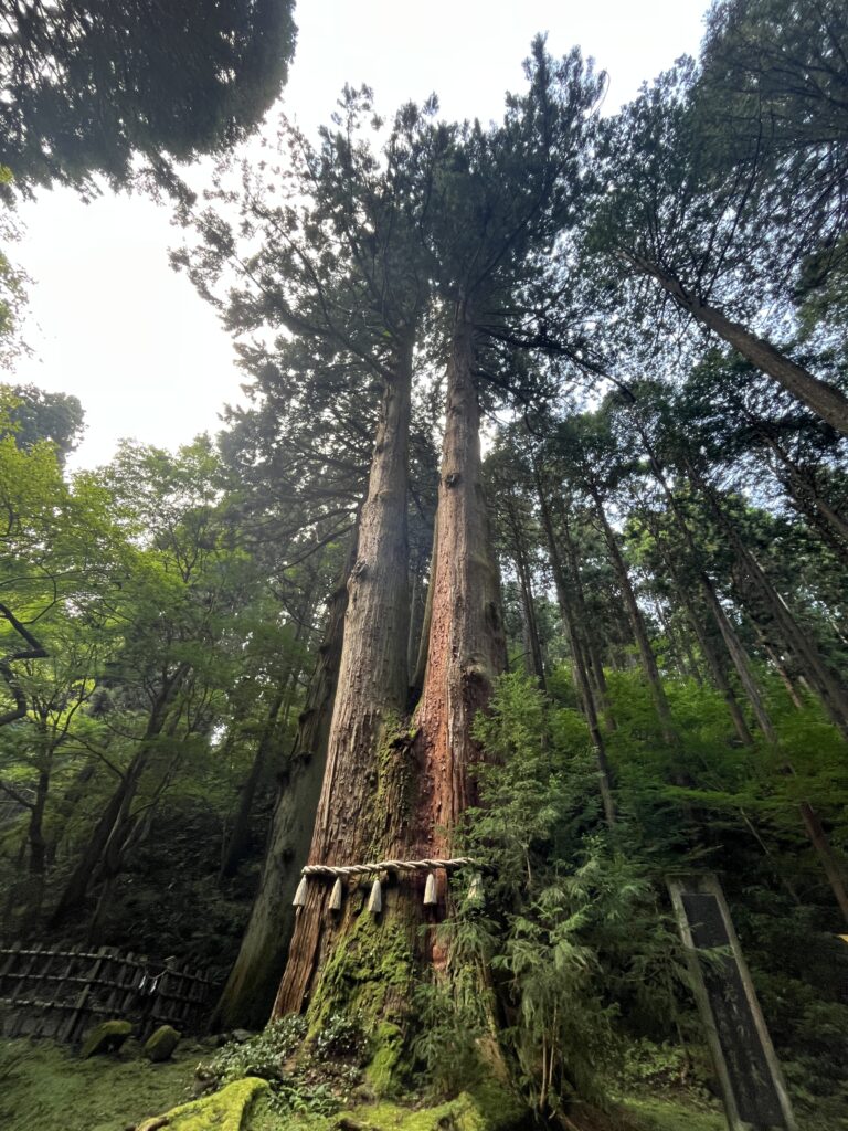 御岩神社