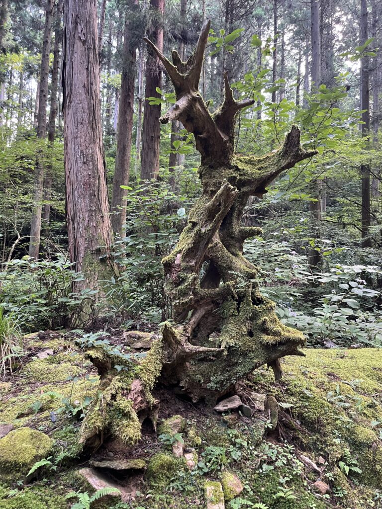 御岩神社