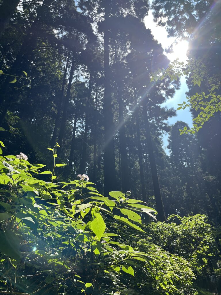 御岩神社